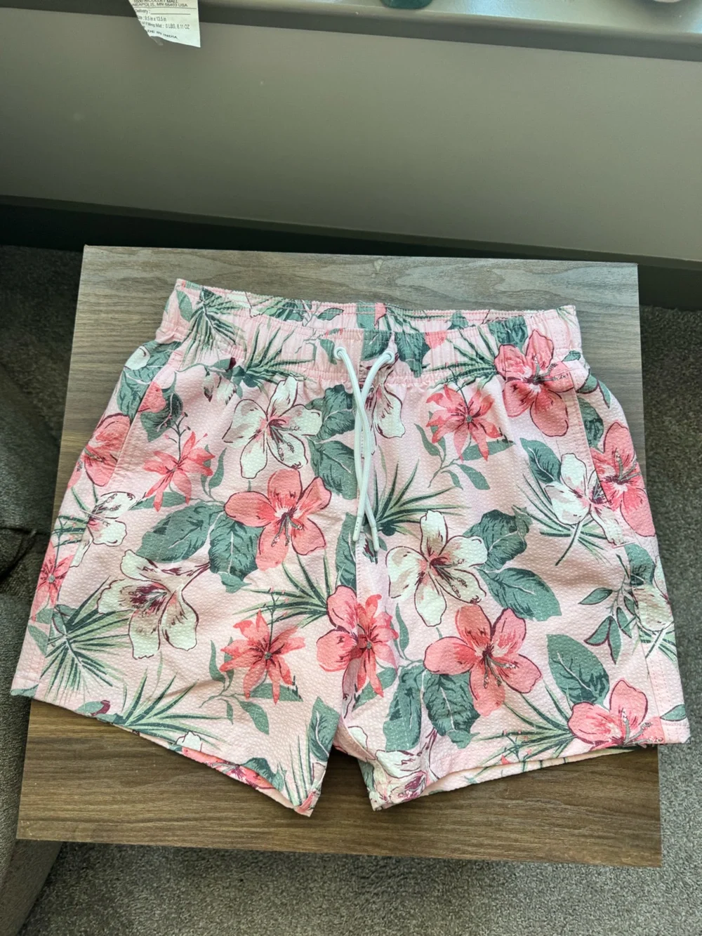 Men’s Swim Shorts Hollister